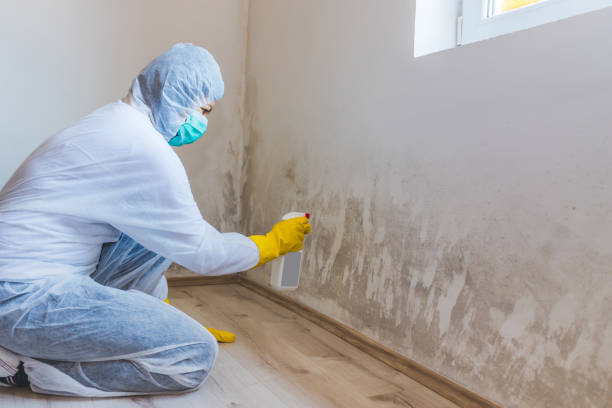 Commercial Mold Remediation assessment for commercial property in Clark