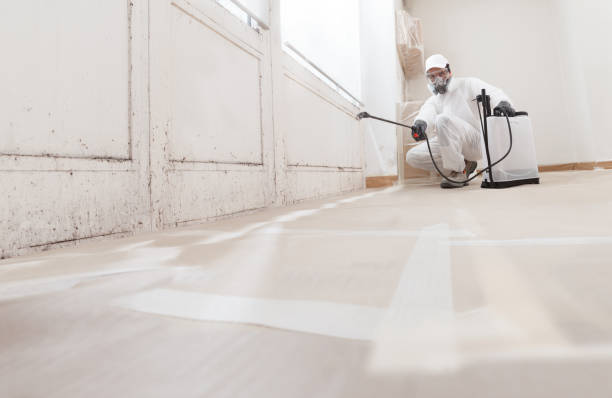 Black mold remediation team in Clark
